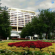 Image for article titled Drunk YouTuber's Fake Shooter 'Experiment' Sent Disney Resort Into Lockdown, Cops Say